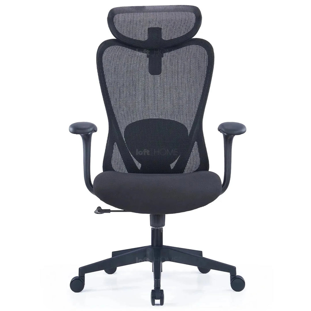 Modern mesh ergonomic office chair artique material variants.