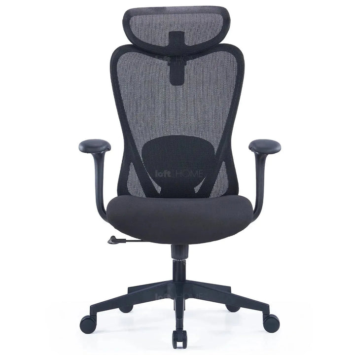 Modern mesh ergonomic office chair artique material variants.