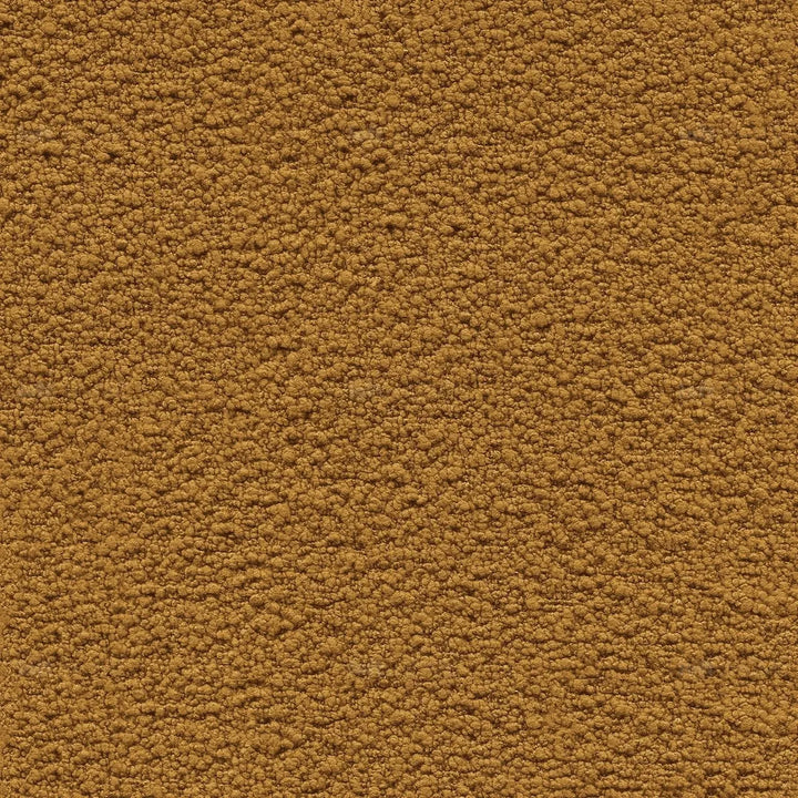 Modern fabric dining chair cloud material variants.