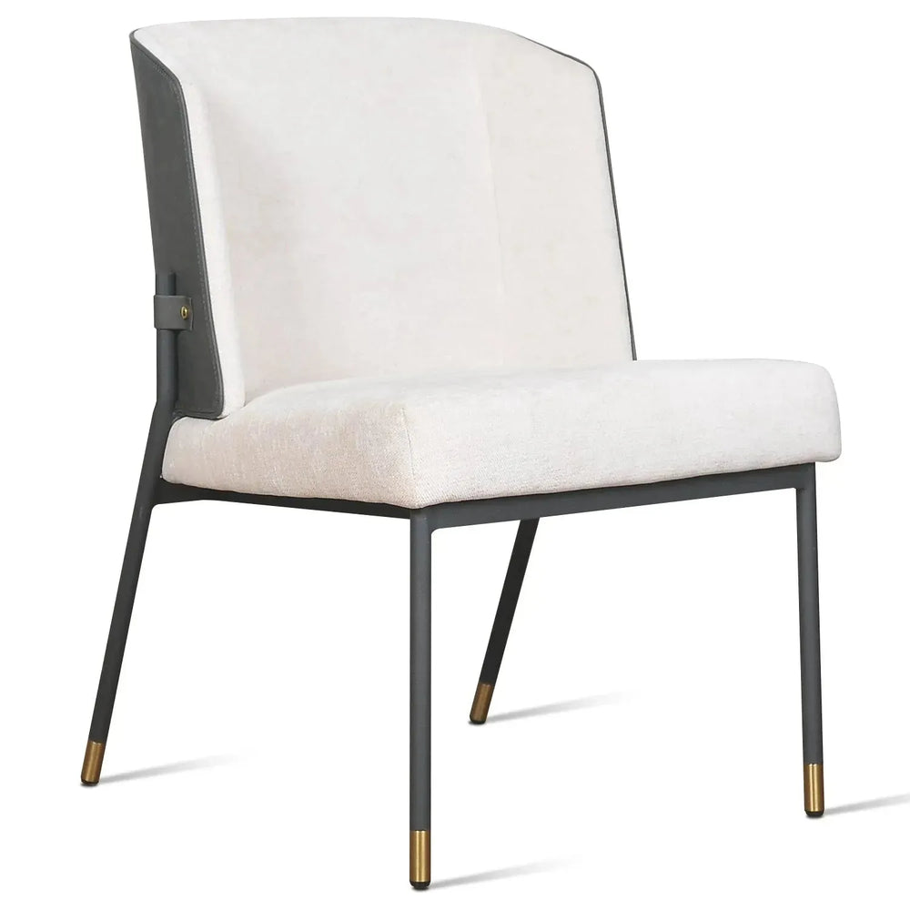 Modern fabric and leather dining chair metal man n15 in white background.