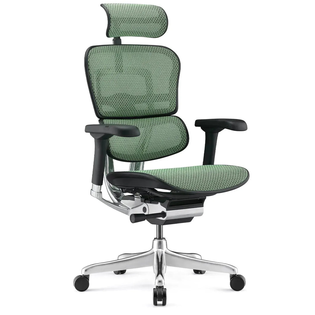 Modern mesh ergonomic office chair black frame ergohuman e2 conceptual design.