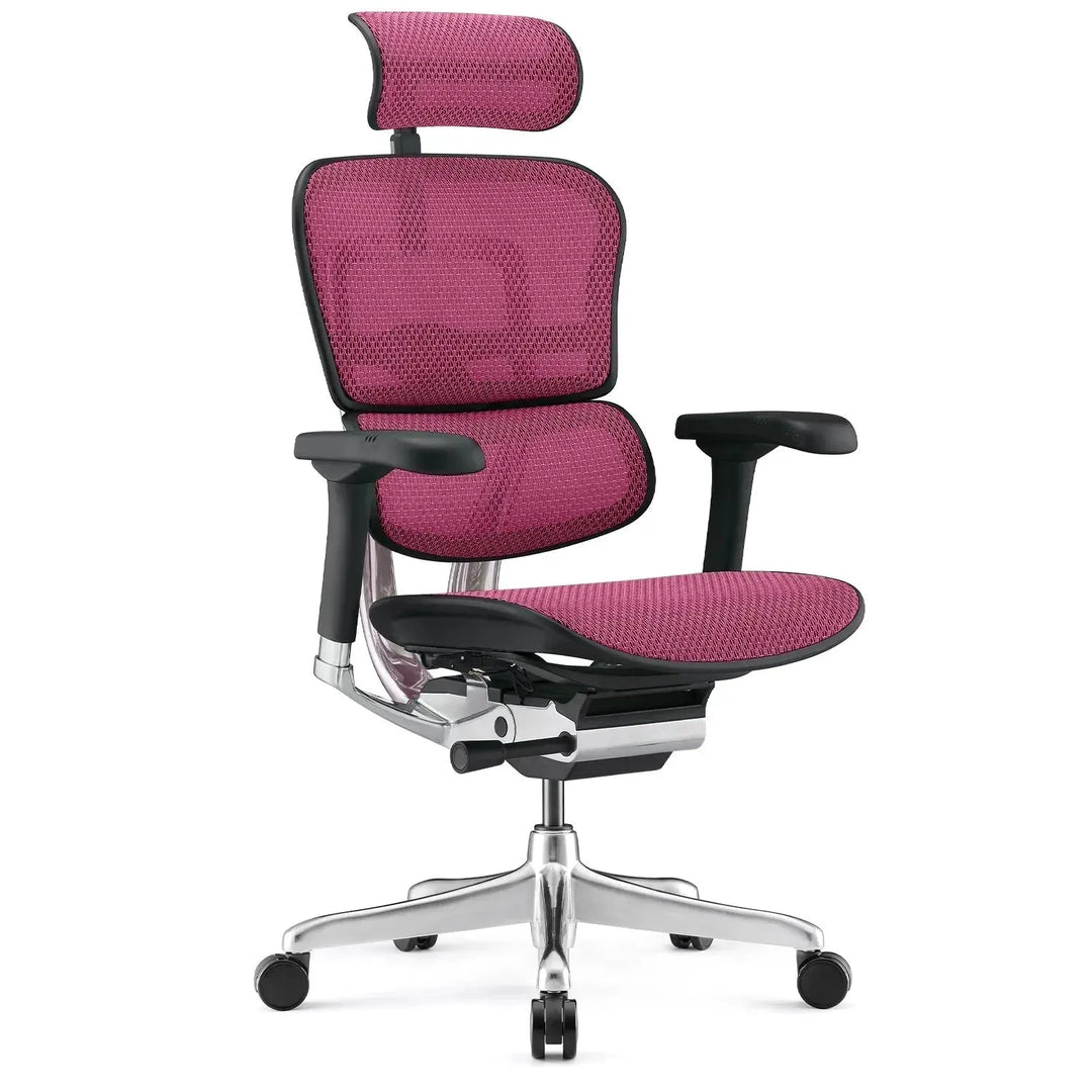 Modern mesh ergonomic office chair black frame ergohuman e2 situational feels.
