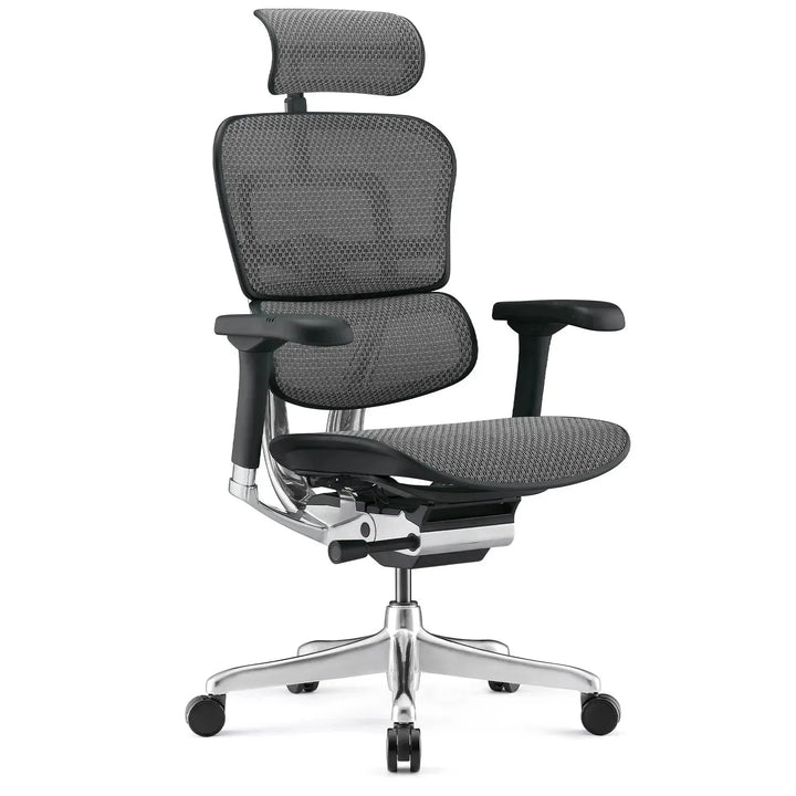 Modern mesh ergonomic office chair black frame ergohuman e2 environmental situation.