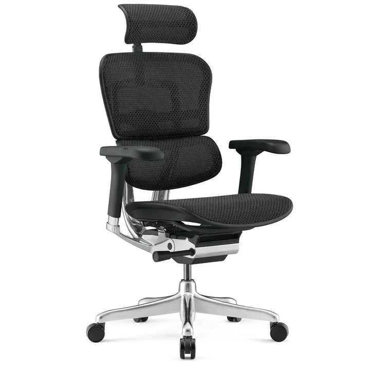 Modern mesh ergonomic office chair black frame ergohuman e2 layered structure.