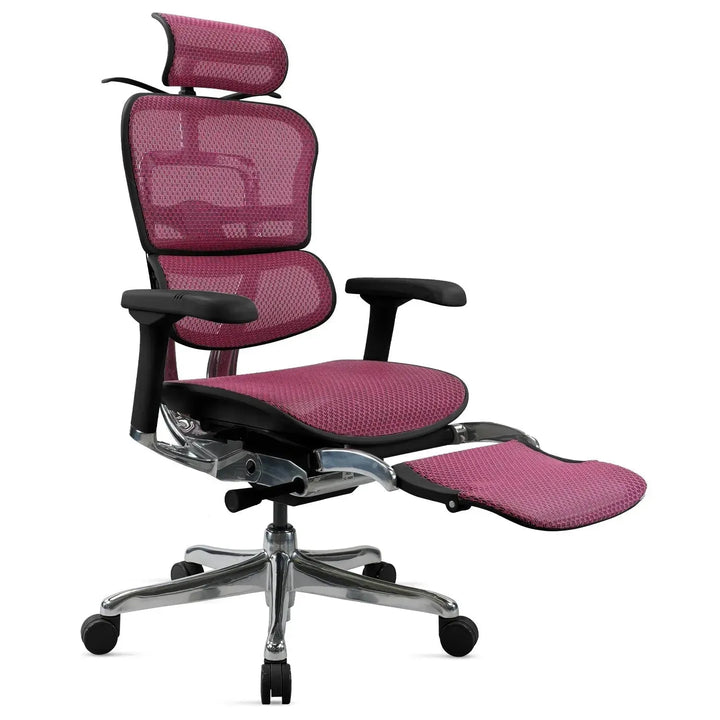 Modern mesh ergonomic office chair black frame with legrest ergohuman e2 situational feels.