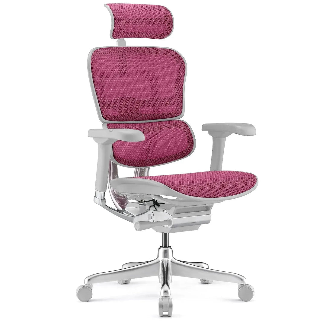 Modern mesh ergonomic office chair grey frame ergohuman e2 situational feels.