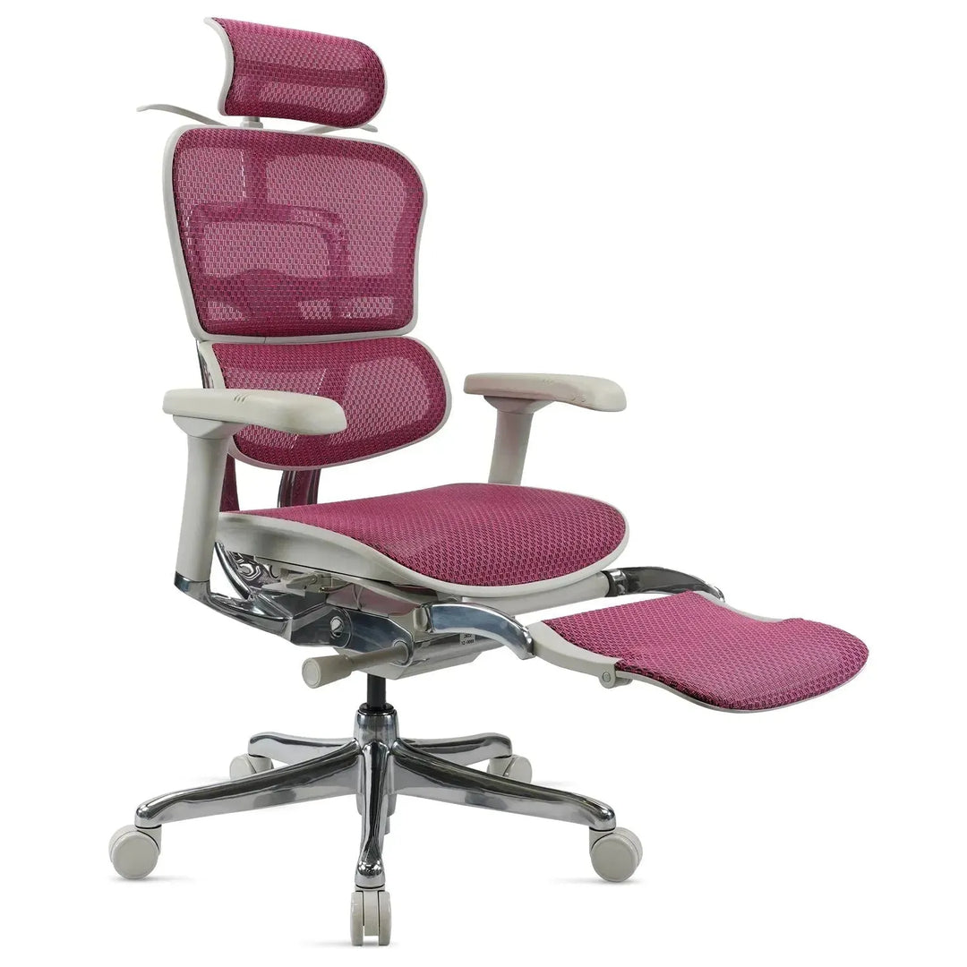 Modern mesh  ergonomic office chair grey frame with legrest ergohuman e2 situational feels.