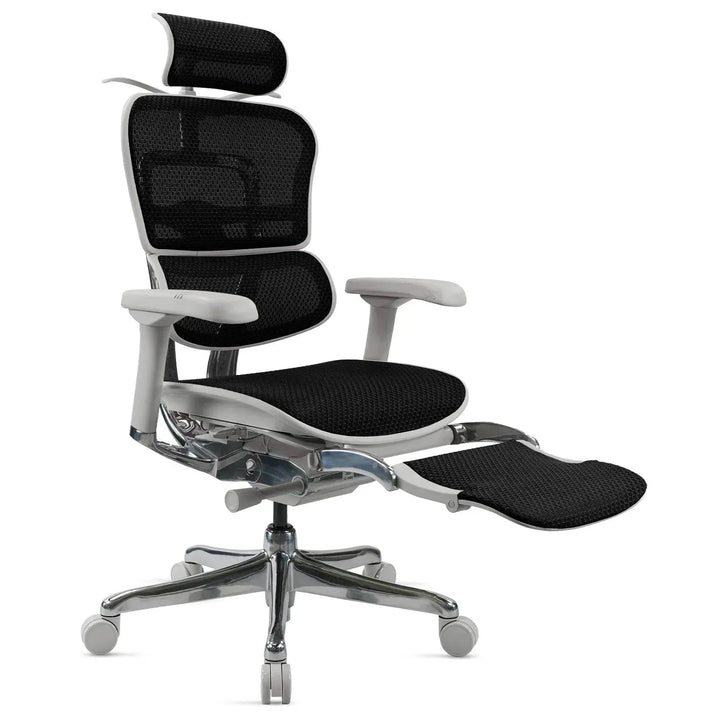 Modern mesh  ergonomic office chair grey frame with legrest ergohuman e2 layered structure.