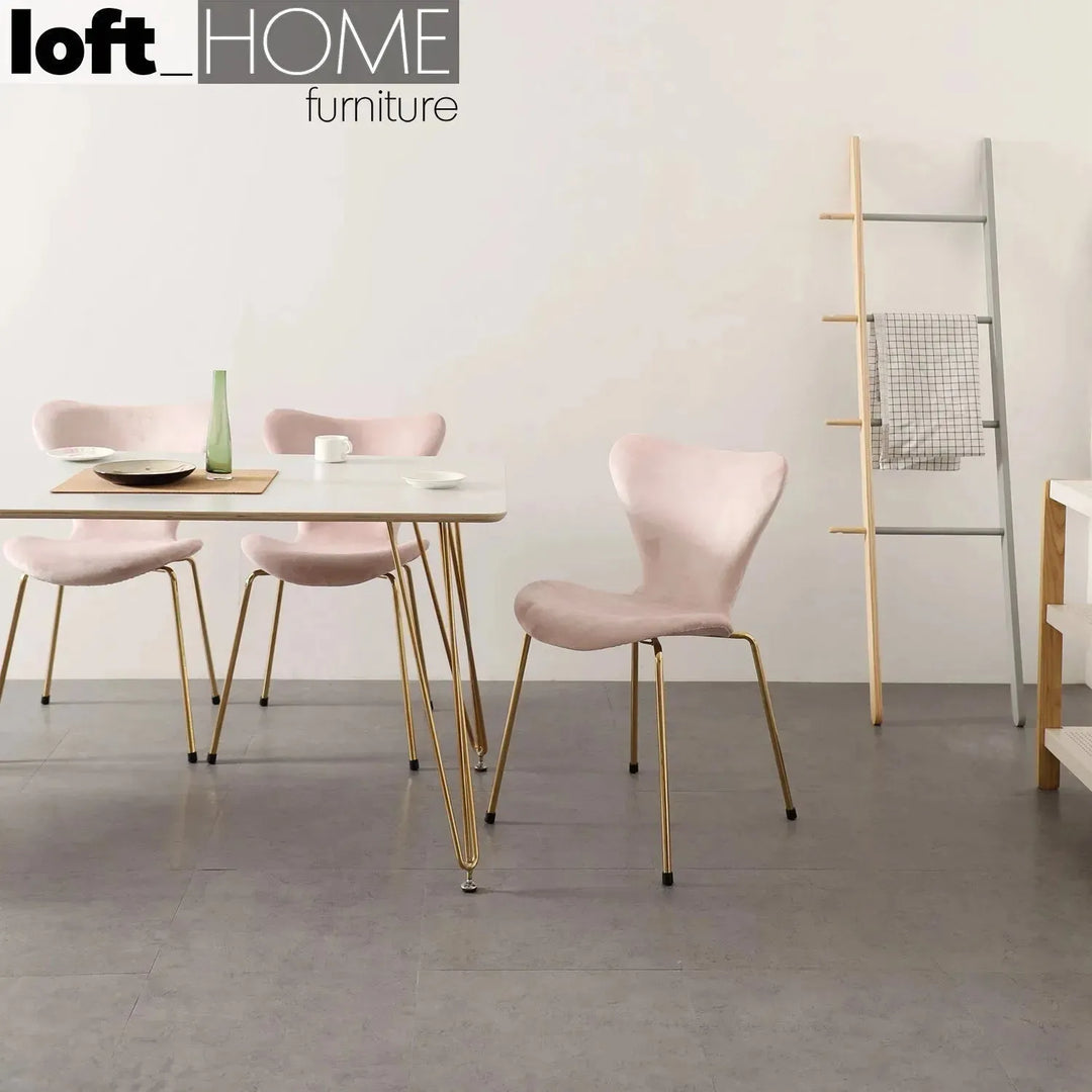 Modern velvet dining chair ant environmental situation.